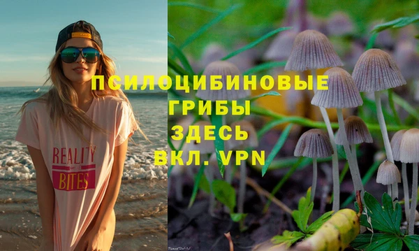 ALPHA PVP Алексин