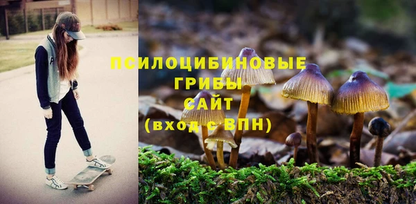 прущая мука Алзамай
