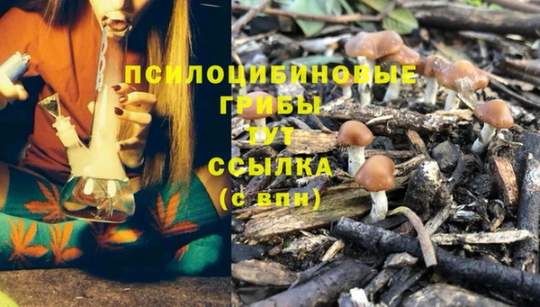 прущая мука Алзамай